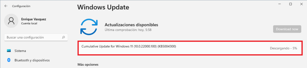 Windows 11 Build 22000.100